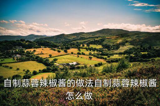 自制蒜蓉辣椒醬的做法自制蒜蓉辣椒醬怎么做
