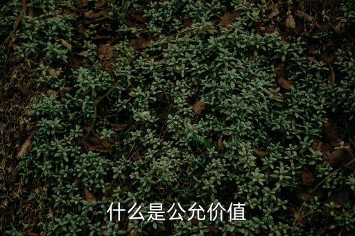 什么是公允價值，什么是公允價值