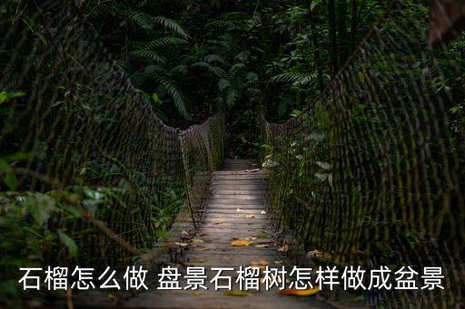 盤景,1建甌宋恩華盤景公司提供一站式景觀設計與施工服務