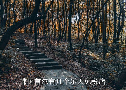 韓國樂天免稅店，韓國首爾的樂天免稅店在哪里