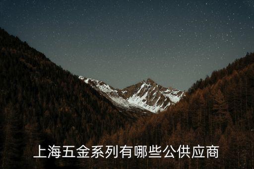 上海五金系列有哪些公供應商
