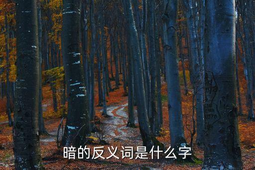 暗反義詞，暗的反義詞是什么字