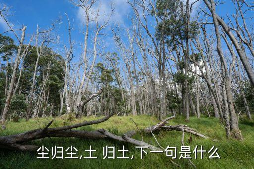  塵歸塵,土 歸土,下一句是什么