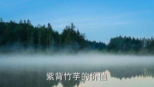 紫背竹芋的價值