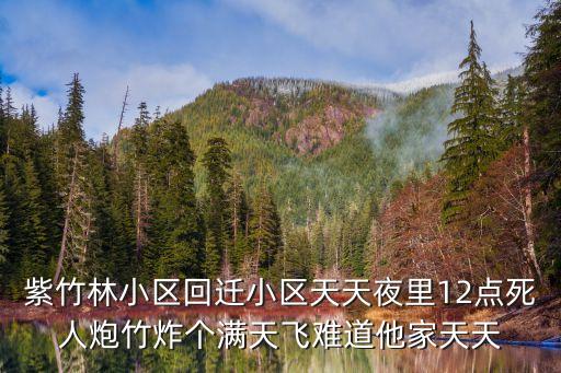 紫竹林小區回遷小區天天夜里12點死人炮竹炸個滿天飛難道他家天天