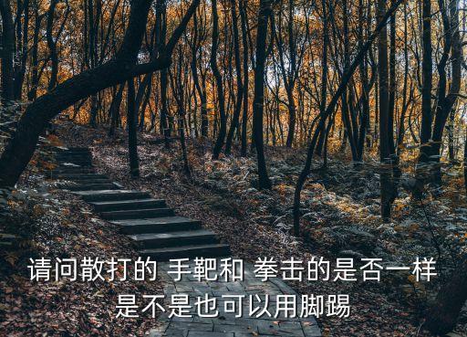 請問散打的 手靶和 拳擊的是否一樣是不是也可以用腳踢