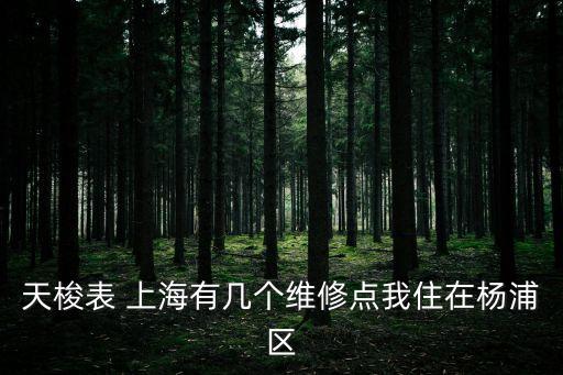 天梭表 上海有幾個維修點我住在楊浦區(qū)