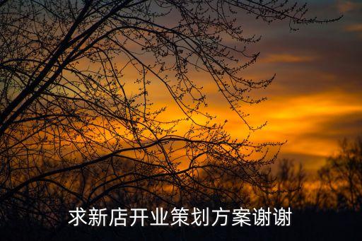 開業策劃，求新店開業策劃方案謝謝