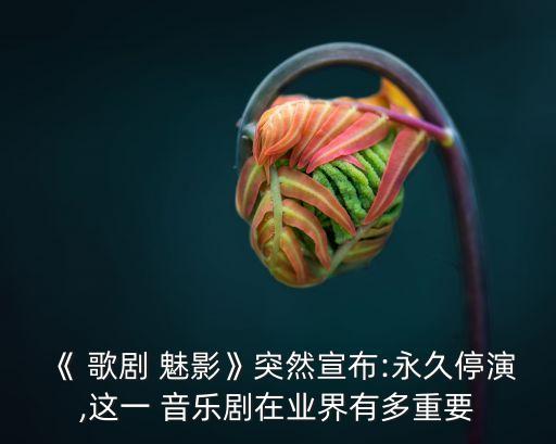 《 歌劇 魅影》突然宣布:永久停演,這一 音樂(lè)劇在業(yè)界有多重要