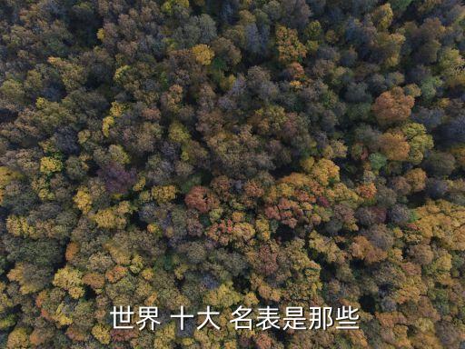  世界 十大 名表是那些