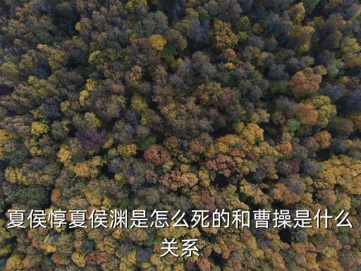夏侯惇夏侯淵是怎么死的和曹操是什么關(guān)系