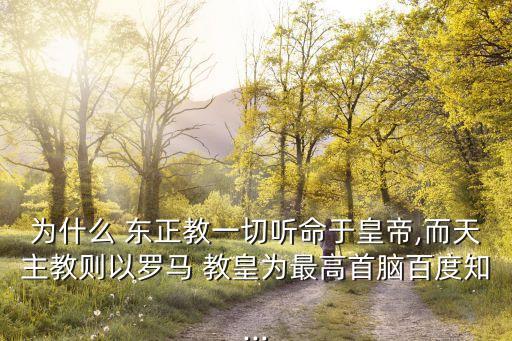 東正教教皇,羅馬天主教主教教皇是教皇還有別的名字?