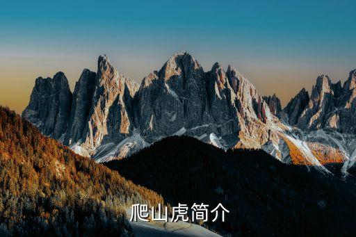 爬山虎,爬山虎:攀爬能力強適應多種植物生長