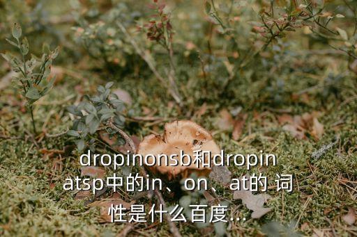 dropinonsb和dropinatsp中的in、on、at的 詞性是什么百度...