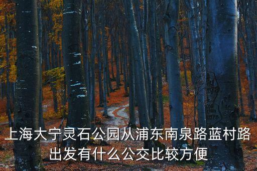 上海大寧靈石公園從浦東南泉路藍村路出發有什么公交比較方便