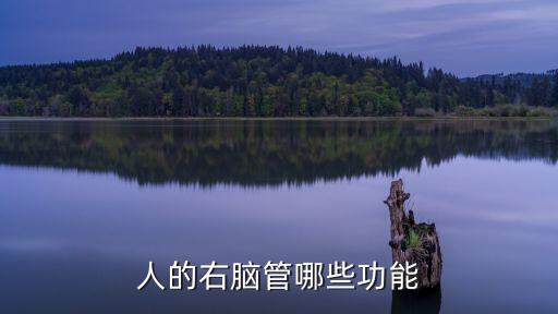 人的右腦管哪些功能