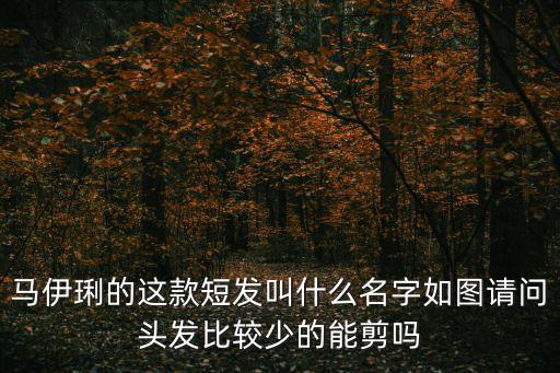馬伊琍的這款短發(fā)叫什么名字如圖請問頭發(fā)比較少的能剪嗎