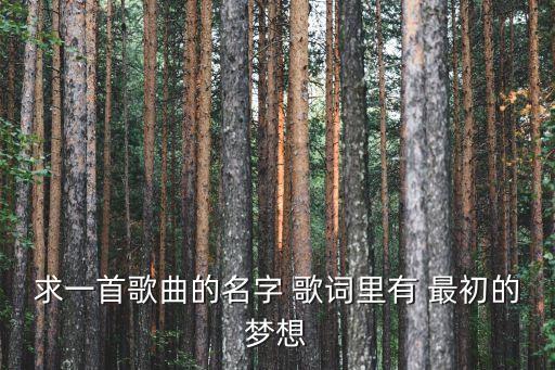 求一首歌曲的名字 歌詞里有 最初的夢想
