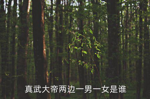 真武大帝是誰,湖北武當(dāng)山是真武大帝的道場(chǎng)