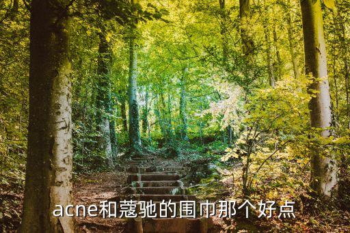 coach圍巾，acne和蔻馳的圍巾那個好點