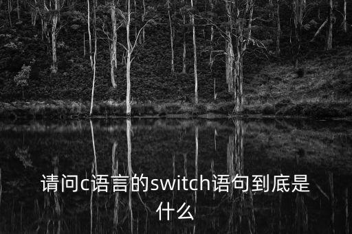 請問c語言的switch語句到底是什么