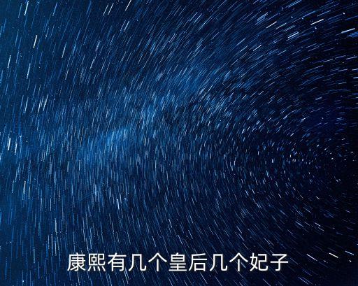 康熙有幾個皇后幾個妃子