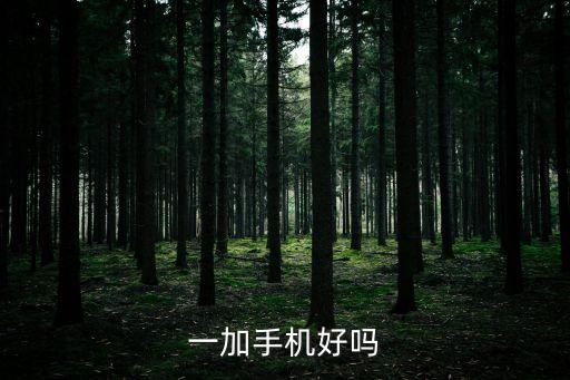 一加手機好嗎
