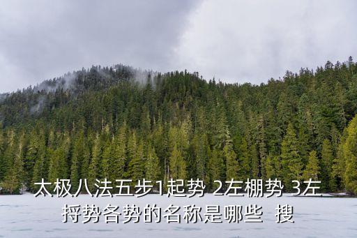 太極八法五步1起勢 2左棚勢 3左捋勢各勢的名稱是哪些  搜