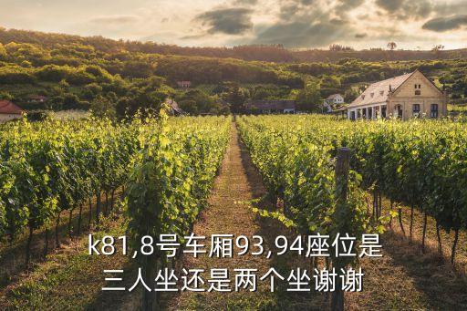  k81,8號車廂93,94座位是三人坐還是兩個坐謝謝