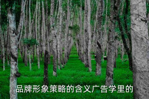 品牌形象策略，品牌形象策略