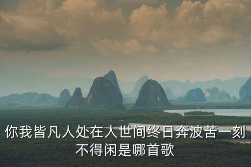 你我皆凡人處在人世間終日奔波苦一刻不得閑是哪首歌