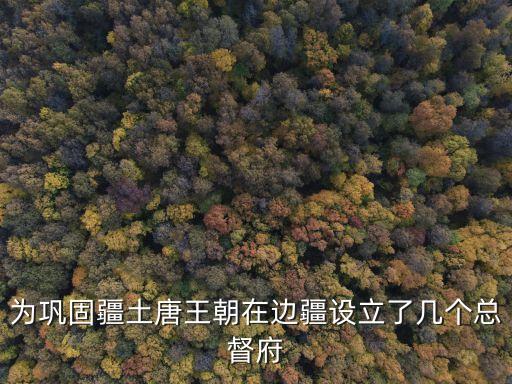 為鞏固疆土唐王朝在邊疆設立了幾個總督府