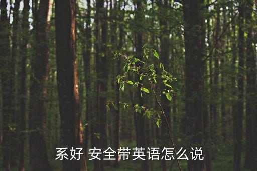  系好 安全帶英語怎么說