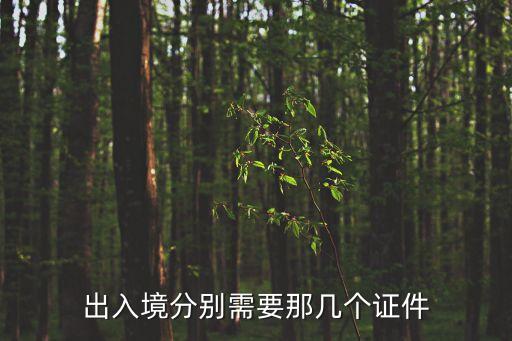 出入境分別需要那幾個證件