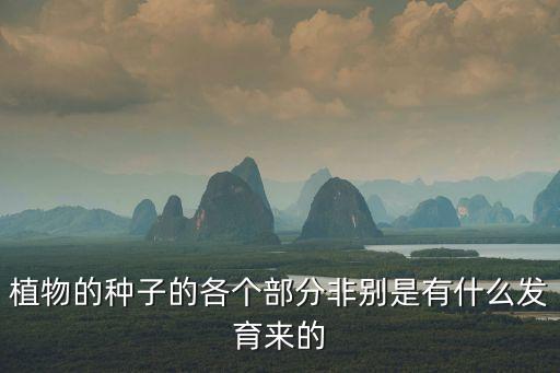 珠被，玉米是否有珠被子房壁