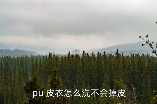  pu 皮衣怎么洗不會掉皮
