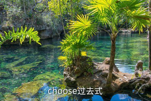 chose,選舉結果出爐!選民投票結果明天揭曉