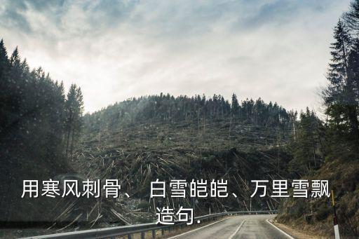 白雪皚皚造句,北京白雪皚皚之雪的含義