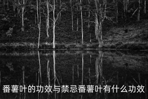 番薯葉的功效與禁忌番薯葉有什么功效