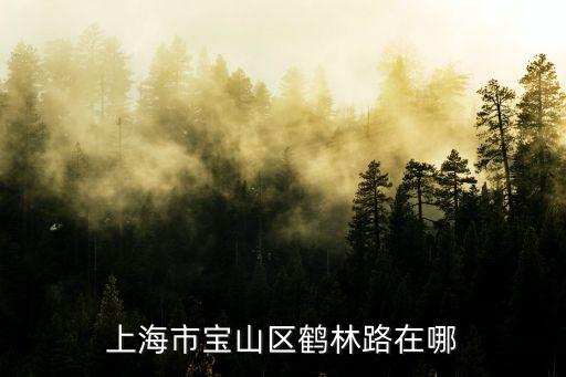 上海市寶山區鶴林路298弄，寶山月浦哪里有上海銀行