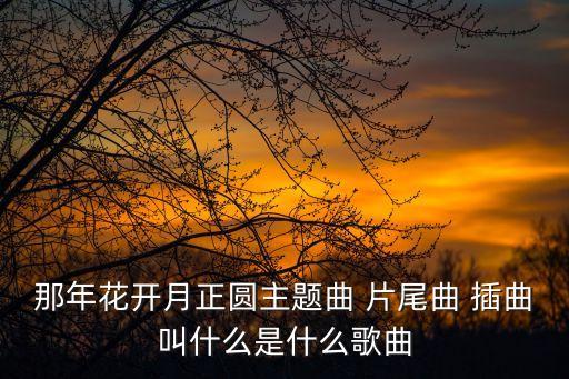 那年花開月正圓主題曲 片尾曲 插曲叫什么是什么歌曲