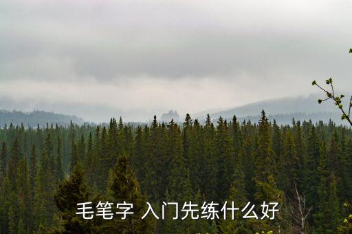  毛筆字 入門先練什么好