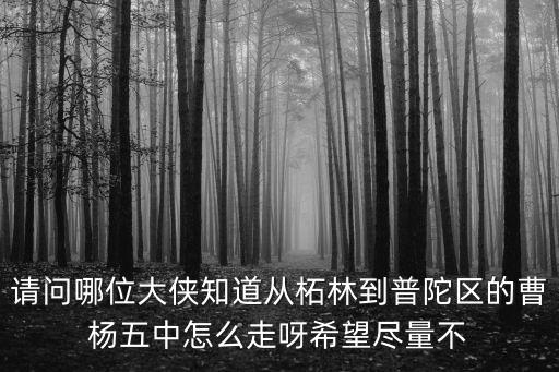 請問哪位大俠知道從柘林到普陀區的曹楊五中怎么走呀希望盡量不