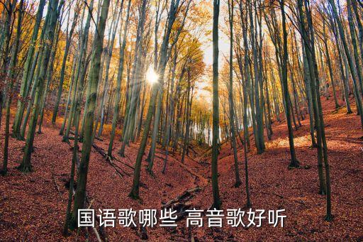 高音歌曲,《千年后期》等三首新歌曲