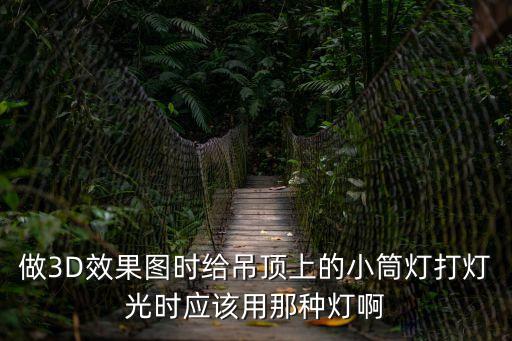 筒燈效果圖,別墅設計師為您提供當地建筑政策相關建筑圖紙