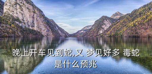 晚上開車見到蛇,又 夢見好多 毒蛇是什么預兆