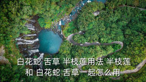 半枝蓮和白花蛇舌草,白花蛇麥冬和半枝蓮有助預防流感
