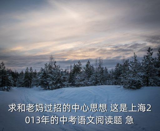 2013年上海市中考語文試卷，求和老媽過招的中心思想 這是上海2013年的中考語文閱讀題 急急