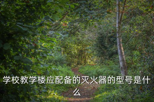 學校教學樓應配備的滅火器型號是，學校教學樓應配備的滅火器型號是什么