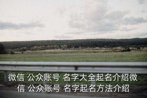 微信 公眾賬號 名字大全起名介紹微信 公眾賬號 名字起名方法介紹
